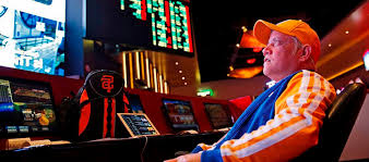 Как войти на сайт Casino Lucky Bear